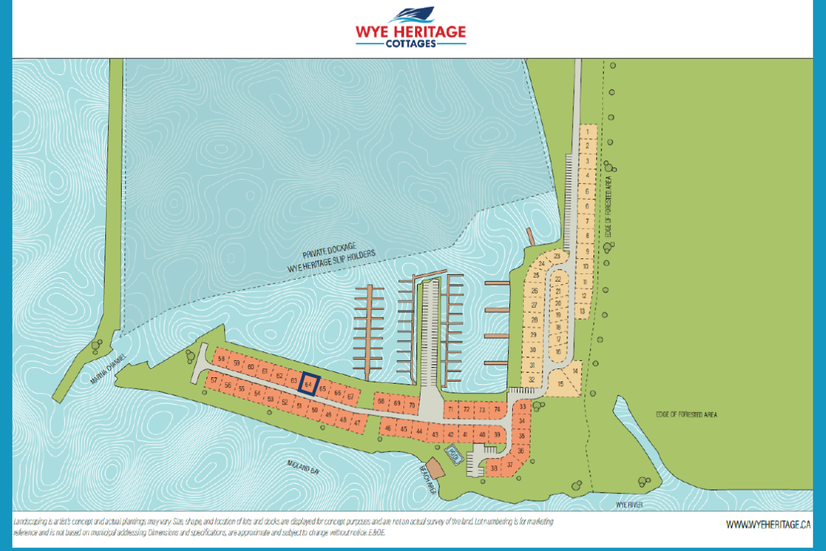 Cogneshene - Site Map